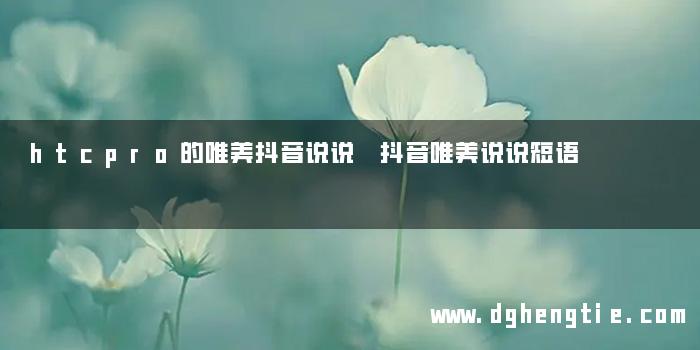 htcpro的唯美抖音说说 抖音唯美说说短语